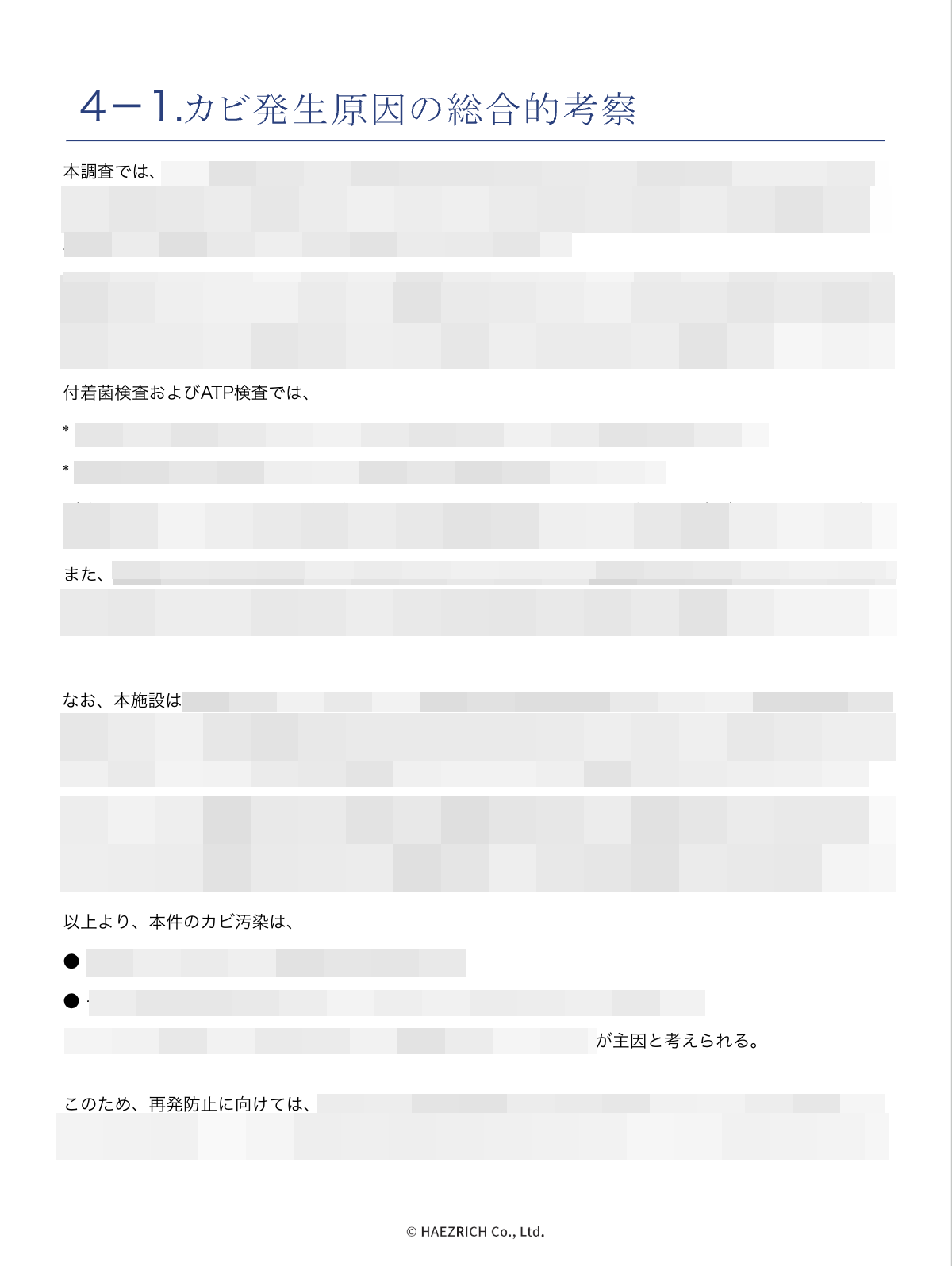 専門考察付き報告書の例