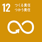 SDG Icon