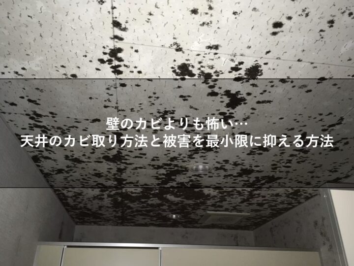 天井のカビは壁の１３ ５倍危険 天井のカビを一瞬で除去する方法を徹底解説 ハーツクリーン