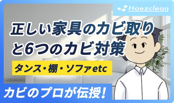 【完全ガイド】家具にカビが生えたら?タンス・ソファの除去&防カビ対策6選|官公庁・上場企業・戸建て対応|【特許取得】カビ取り業者ならハーツクリーン