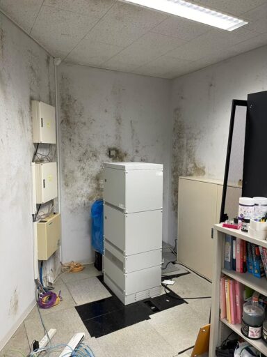 Before image
