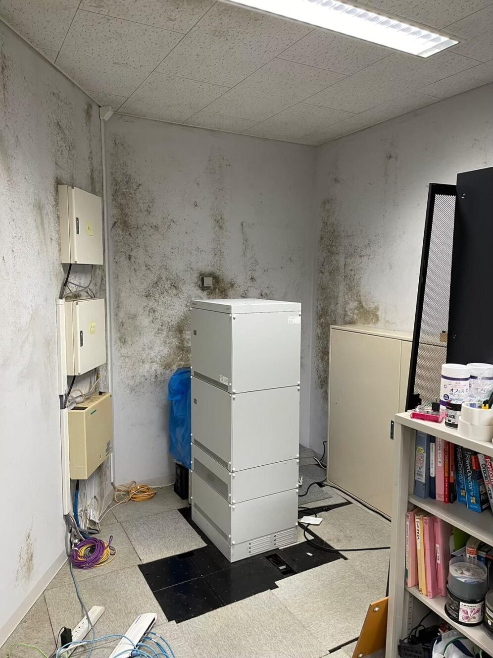 Before image