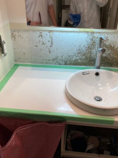 Before image