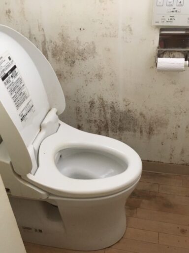 Before image