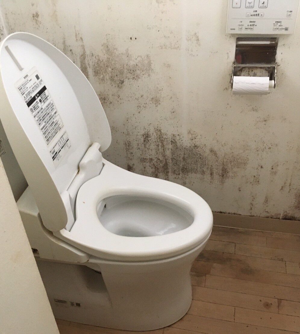 Before image
