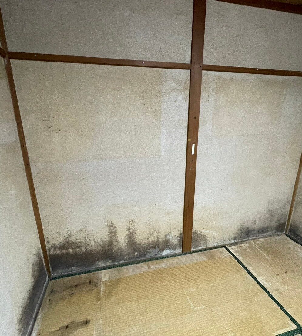 Before image