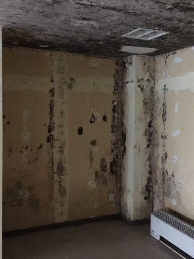 Before image