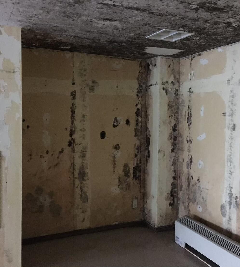 Before image