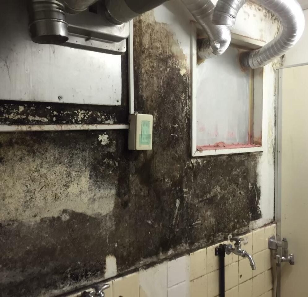 Before image