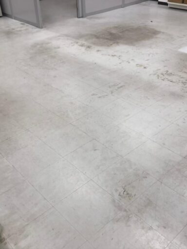Before image