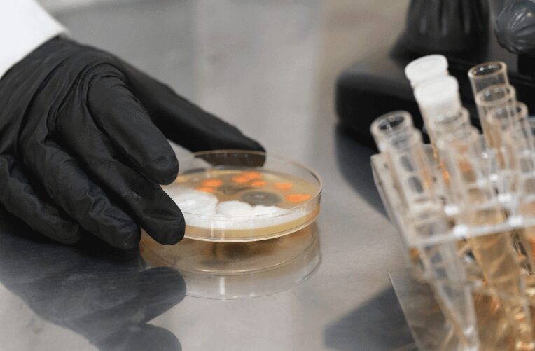 カビ原因調査に強い会社をお探しならハーツリッチにお任せください