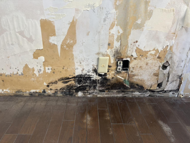 Before image