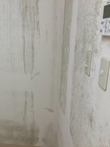 Before image