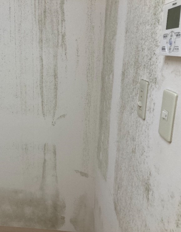 Before image