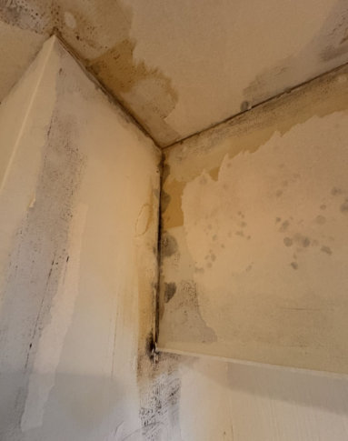 Before image
